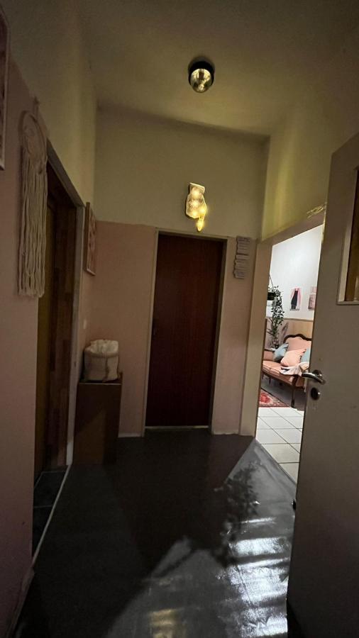 شقة Monteure, Ganzes Haus, Schwarzheide, Haus 1 المظهر الخارجي الصورة